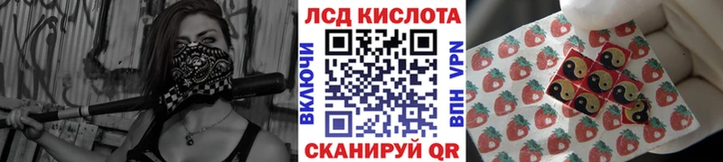 дарнет шоп  Нязепетровск  Наркотические марки 1500мкг 