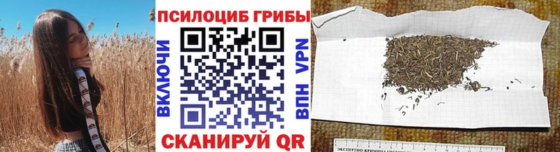 даркнет сайт  Нязепетровск  Псилоцибиновые грибы GOLDEN TEACHER 
